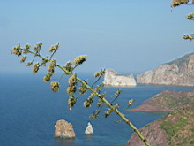 115_pan di zucchero.JPG